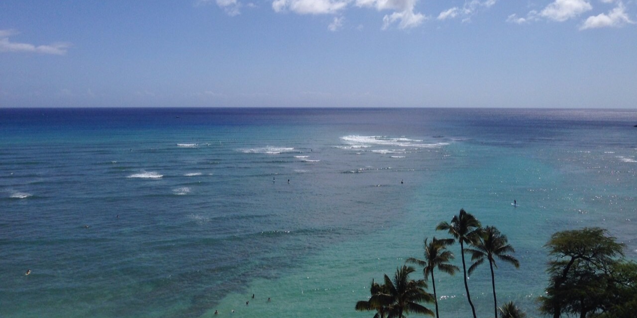 ハワイ「南国」イメージ